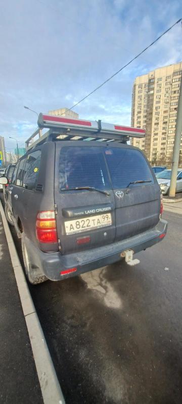 20260403_074226.jpg