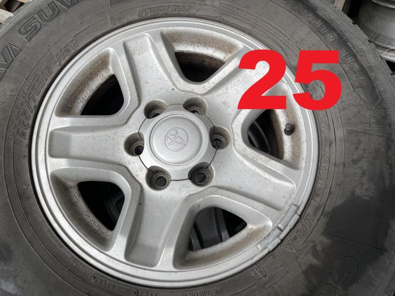25 (11).jpeg