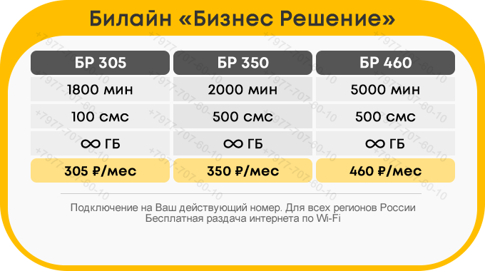 beeline_biznes_reshenie.png.891c0ff5a4a7b934755e1805f76d8f4c.png