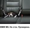 misha-bmw