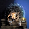 drunk hedgehog
