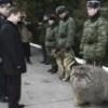 Как затянуть крепление без динамометрического ключа с нужным моментом